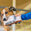 Load image into Gallery viewer, Scruffy dog holding 80s Classics Toy Collection by P.L.A.Y. - Scruffy&#39;s Station Waggin&#39; Toy in mouth with human holding onto outdoors
