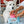 Load image into Gallery viewer, corgi looking at the pink macaron toy go into box of Pup Cup Cafe Collection by P.L.A.Y. - Mutt-a-rons find-n-seek toy
