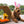 Load image into Gallery viewer, Hippity Hoppity Collection by P.L.A.Y. - dog with bunnie ears sitting next to all three toys

