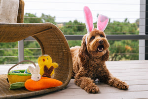 Hippity Hoppity Collection by P.L.A.Y. - dog with bunnie ears sitting next to all three toys