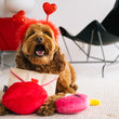 Load image into Gallery viewer, Love Bug Collection by P.L.A.Y. pictured with dog wearing heart headband
