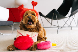 Love Bug Collection by P.L.A.Y. pictured with dog wearing heart headband