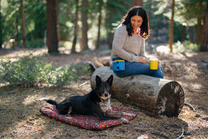 Scout & About Outdoor Chill Pad in Mocha with dog laying on it and mom sitting on a log smiling down with Landscape River Deluxe Training Pouch
