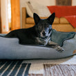 Load image into Gallery viewer, Houndstooth Lounge Bed in Light Blue with black dog lounging in it in living room
