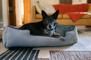 Houndstooth Lounge Bed in Light Blue with black dog lounging in it in living room
