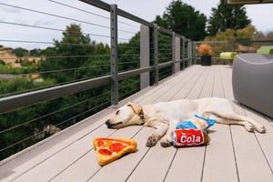 Snack Attack Collection by P.L.A.Y. with dog passed out on deck from food coma