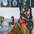 Load image into Gallery viewer, Dog holding Ready Player Fun toy in mouth with Howling Hounds Headphones around neck - 80s Classics Toy Collection by P.L.A.Y.
