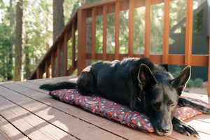 Scout & About Outdoor Chill Pad in Mocha with dog sleeping on it outside on a deck