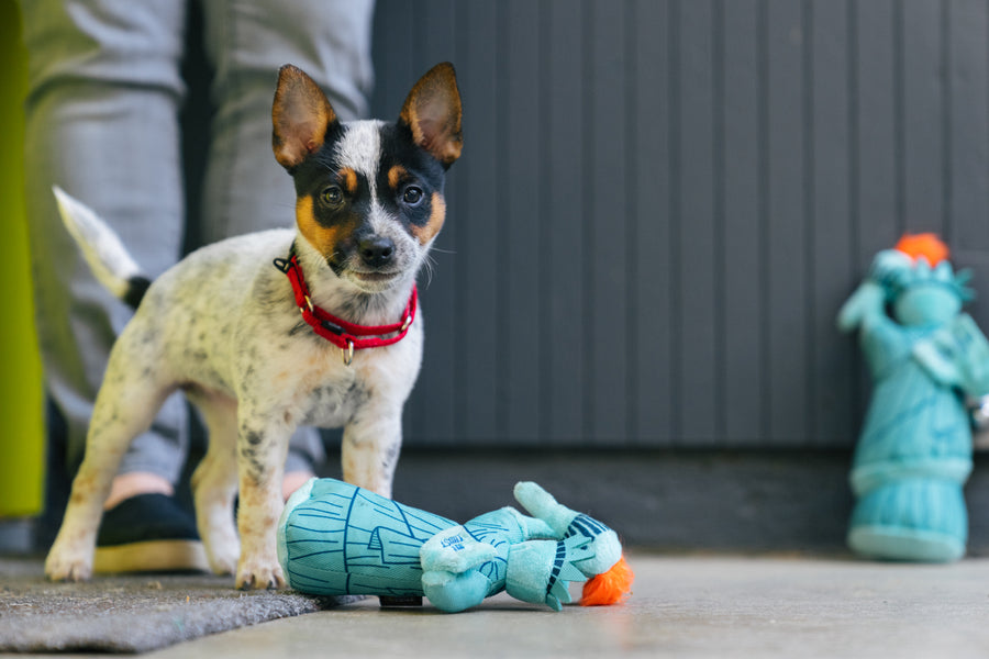 P.L.A.Y. Totally Touristy Statue of Liberty Dog Toy - both sizes of toy pictured with puppy