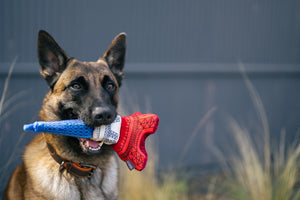 P.L.A.Y. Totally Touristy Eiffel Tower Dog Toy - medium sized toy picture in big dog's mouth