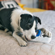 Load image into Gallery viewer, P.L.A.Y. 90s Classics - Game Bone Toy with dog&#39;s paw on it playing
