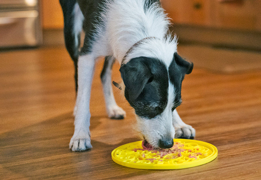 P.L.A.Y. ZoomieRex EverLick Mat - Dog eating from Large Pineapple yellow mat