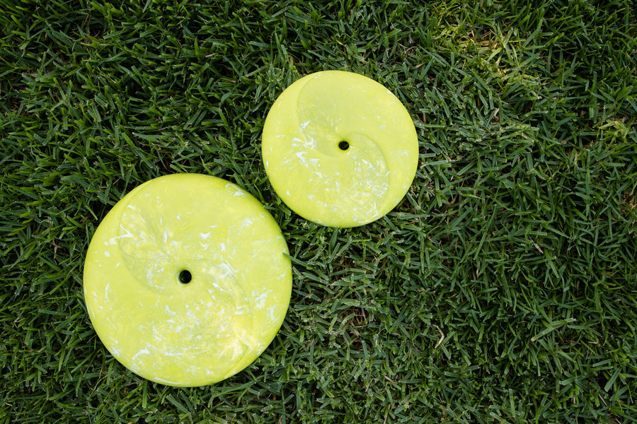 P.L.A.Y. ZoomieRex InfiniDisc - lime green both sizes shown on grass