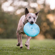 Load image into Gallery viewer, P.L.A.Y. ZoomieRex InfiniDisc - blue disc in dog's mouth running outside
