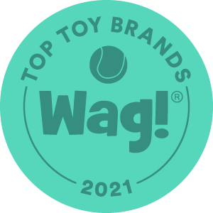 2021 Toy Award